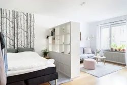 Yashash xonasi 18 kvadrat metr dizayn fotosurati ikkita zona uchun