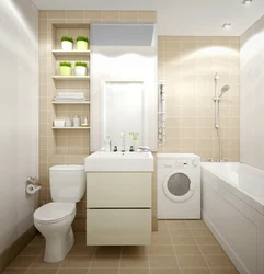 Combined bathroom photo ideas