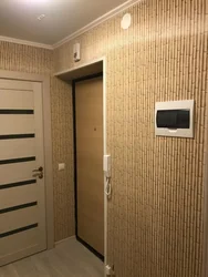 Қабырғадағы фотосуреттегі дәліздегі ПВХ панельдері