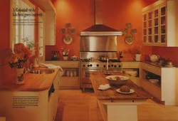 Terracotta kitchen design photo