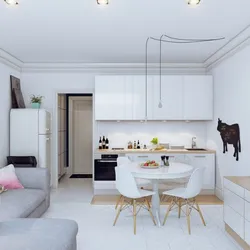 Studio Kitchen Design 30 Sq.M. Photo