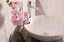 Фото Ванна Орхидеи