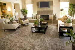 Living room floor design photo