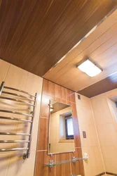 Bathroom Interior With Slatted Ceiling