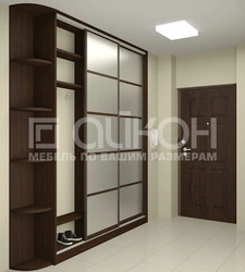 Koridorda tor shkafi chuqurligi 30 sm fotosurat