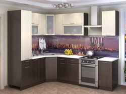 Which Kitchen To Choose For A Small Kitchen Photo