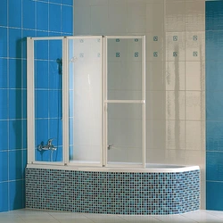 Bathroom Design With Screen