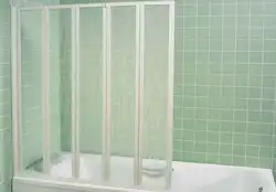 Bathroom design with screen