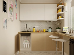 Small kitchen design