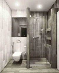 Interior design of a bathroom and toilet in the house