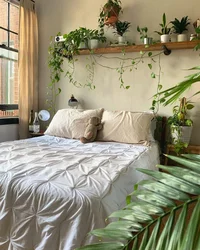 Flowers for the bedroom useful photos