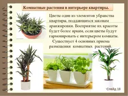 Flowers for the bedroom useful photos