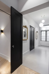 Apartment Interior Dark Doors And Floors