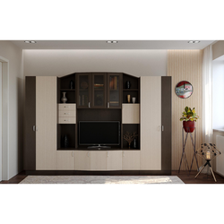 Living room walls modern photos wenge