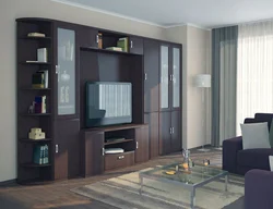 Living room walls modern photos wenge