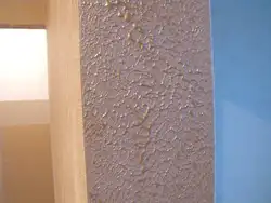 Bark beetle photo plaster in the kitchen