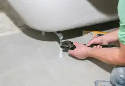 Катэгорыя 