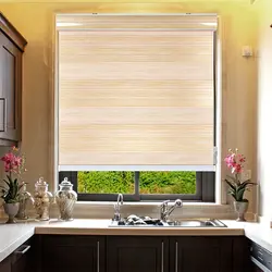 Blinds In The Kitchen Photo In The Apartment