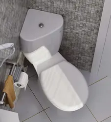 Бұрыштық дәретхана фотосуреті бар ванна бөлмесі