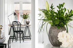 Floor planters in the living room interior