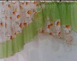 Organza Mətbəx Foto