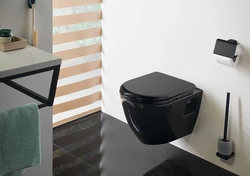 Photo of black toilet bath interior