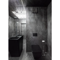 Photo of black toilet bath interior