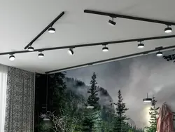 Track lamps in the bedroom interior