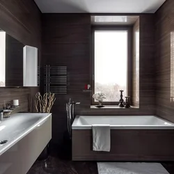 Bath interior with dark furniture