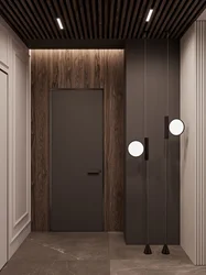 Doors in the interior of the hallway in a modern style