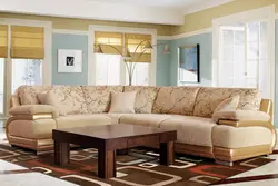 Types of sofas for the living room photo