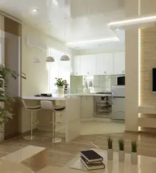 Kitchen combined with hallway and living room photo