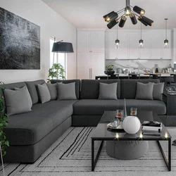 Gray sofa in the kitchen interior
