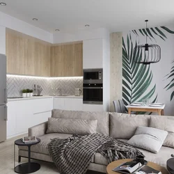 Design Of A One-Room Kitchen Living Room