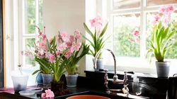 Kitchen modern design and flowers