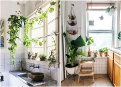 Kitchen modern design and flowers