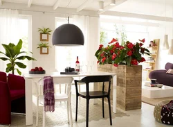 Kitchen modern design and flowers