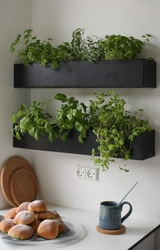 Kitchen modern design and flowers