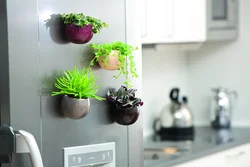 Kitchen modern design and flowers