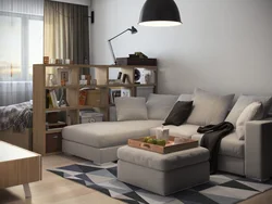 Living room design 18 m with a partition for the bedroom photo