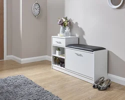 Cabinets for hallway photo in modern style