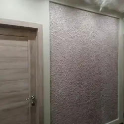Жуынатын бөлме қабығы қоңызының фотосы