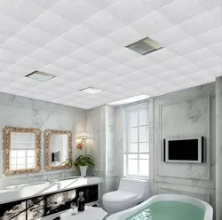 Bathroom ceiling tiles photo design