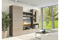 Modern glossy walls for the living room photo