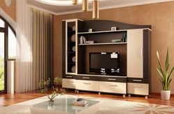 All furniture walls for the living room photo