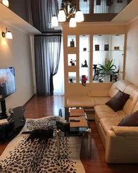 Adi bir mənzil qonaq otağının daxili fotoşəkili