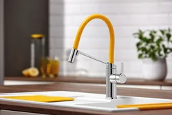 Photos of modern kitchen faucets