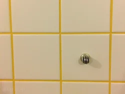 Hammom fotosuratida plitkalarni grouting