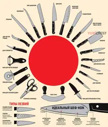 Types of knives in the kitchen photo