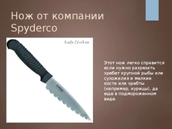Mətbəx fotoşəkildə bıçaq növləri